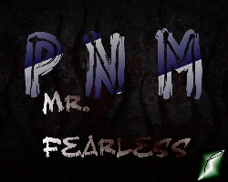 PNM_Mr.Fearless